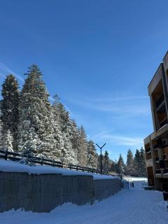 Kokhta-Mitarbi Resort, Apartment B3,206 - Bakuriani - 4