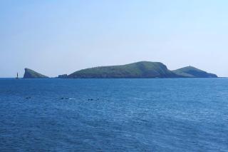 Jeju Neulboyi Ohu Pensyeon - 4