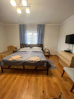 Котедж Шум Черемоша на березі річки - 7