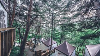 Hoengseong Couple Star in Porest Pension - - 4