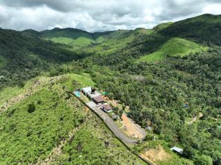 Mathew's Legacy by Whitetrip - 1