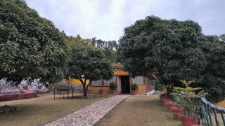 Forest Bliss Resort - 3