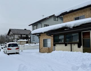 Snow Fever - Clan - 9
