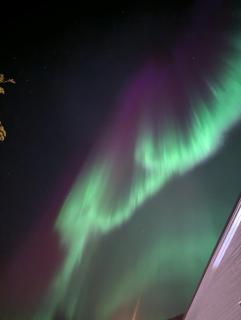 The House of Aurora I - 8