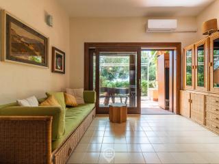 Pinus Blissful Breeze - Pula - 3