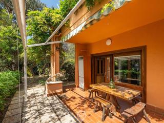 Pinus Blissful Breeze - Pula - 7