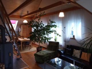 Ferienwohnungen Leffer - Großheirath - 3