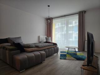 Elite Residence Suite- free parking near Kelenföld - Budapest - 6