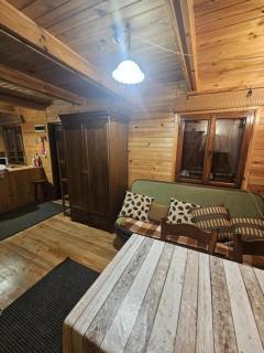 Domki pod Lasem - Rymanów-Zdrój - 1