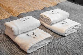 Green Deer Premium - Zakopane - 7