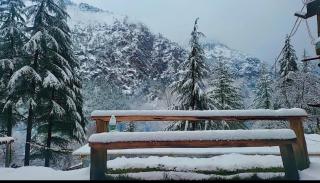 Wolf Stays - Kasol - 9