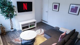 Wolves - City - Contractors - Long Stay - Families - 8