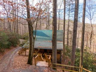 5 Bears Cabin - 5