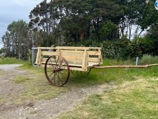 Turismos los Carbooneros de Pugueñun - Ancud - 0