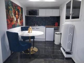 Remarquable Studio - Neuilly-sur-Marne - 1
