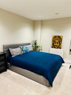 Modern, bright and spacious 1BR - 1