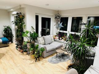 Modern, bright and spacious 1BR - Finchley - 2