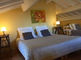 Mas en pierres 17 couchages avec piscine et jardin - Suze-la-Rousse - 4