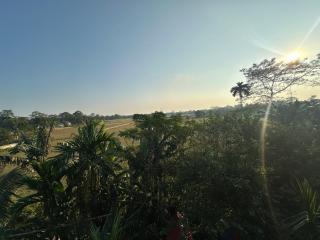 Niribili Homestay - Majuli - 4