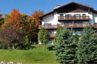 Renovated 1 bedroom with Views of Mont-Tremblant - 2