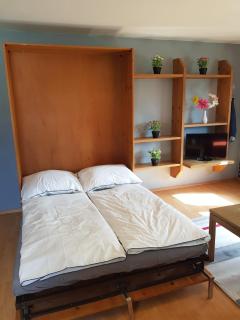 Alpine flat - Inzell - 5