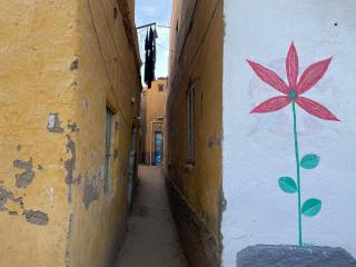 Reko Houses in Elephantine Island - 0