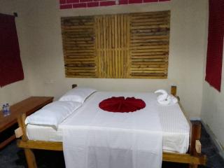 Mikumi luxury lodge - Mikumi - 0
