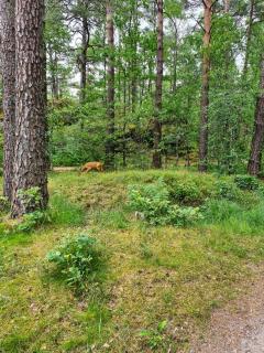 Leilighet rett ved stranden - Mandal - 2