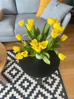 Seaview Noblessner harbour apartment, 8 min to downtown - Tallinn - 2