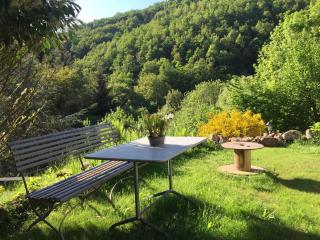 La Pierre d'Eau - Fréland - 3