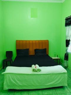 The heritage villa Bukit Lawang - Bukit Lawang - 3