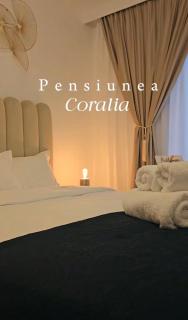 Pensiunea Coralia - Deva - 1