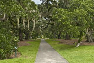 Carolina Dunes - 402 - Myrtle Beach - 5
