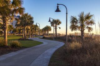 Carolina Dunes - 402 - Myrtle Beach - 3