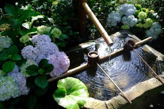 BuSu Forest Forever Hotel - Dujiangyan - 8