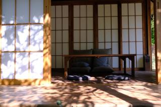 BuSu Forest Forever Hotel - Dujiangyan - 7
