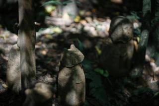 BuSu Forest Forever Hotel - 2