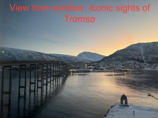 Borealis, flat at Vervet - Tromsø - 8