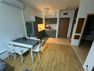 Lawrence Apartment - Budapest - 1