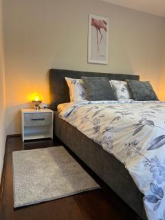 Apartman JV - Arandelovac - 0