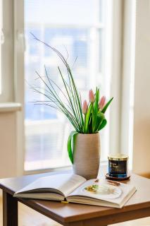Sunny Apartment with amazing Terrace on the 13th floor near City Center - Bratislava - 2