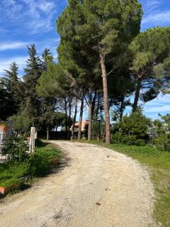 Arte in Villa - Caltagirone - 8