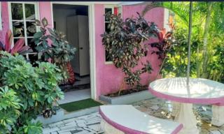 Pink Hibiscus Bed and Breakfast - Montego Bay - 3