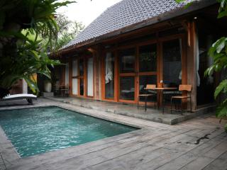 Villa Pisang Dua - Ubud - 0