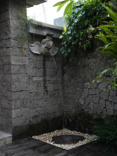 Villa Pisang Dua - Ubud - 6