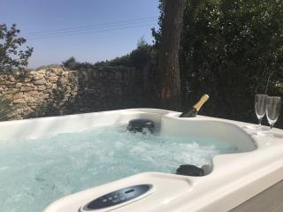Les Mazets et Spa D'Uzes - Arpaillargues-et-Aureillac - 9