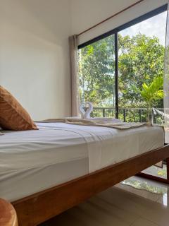 Maze Lodge - Puerto Jiménez - 3