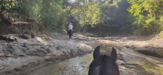 Alquiler de caballos y cabalgatas por el Atlántico - 8