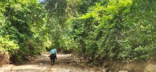 Alquiler de caballos y cabalgatas por el Atlántico - 5