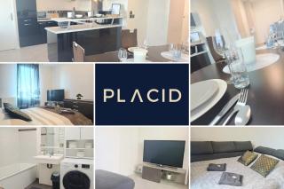 Le NewYorkais - Terrasse Avec Vue Sur La Ville - 9